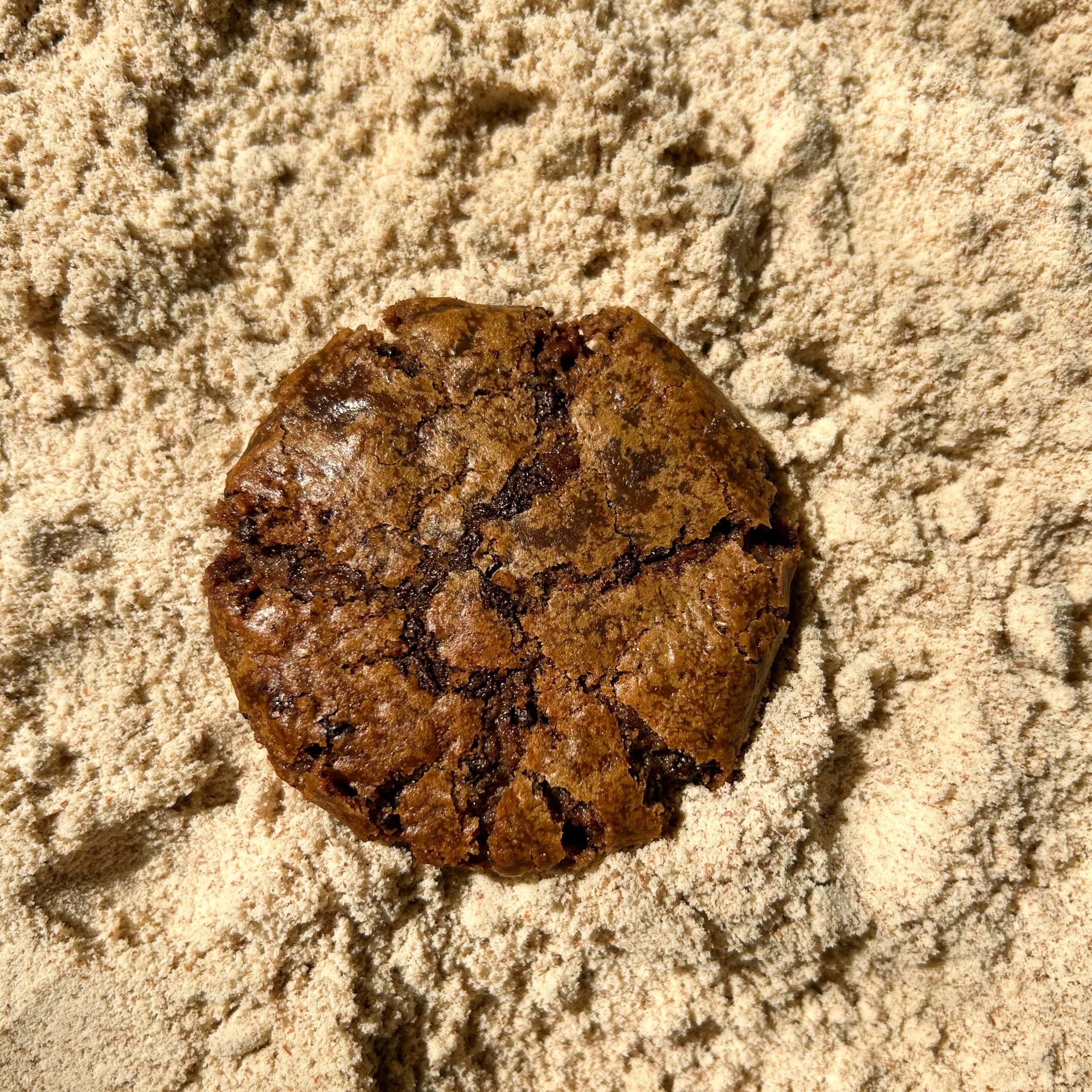 Double Chocolate Chip Cookie